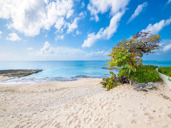 Luxurius Cayman Island Condo Two Bedroom