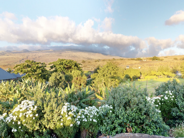Pure Luxury Amazing Big Island Pool Home