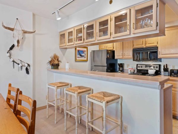 Beaver Creek Two Bedrooms Ski in / Ski out