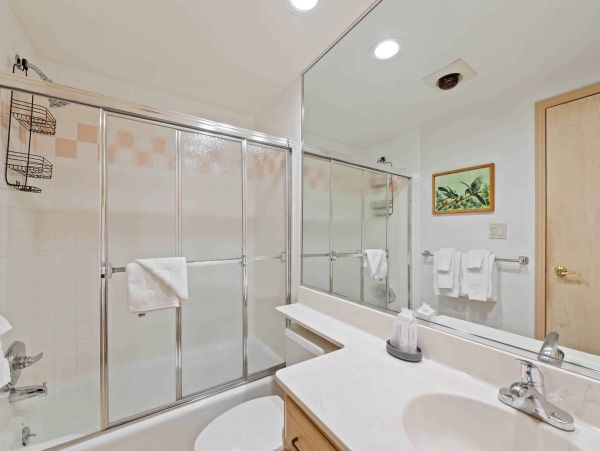 Beaver Creek Two Bedrooms Ski in / Ski out