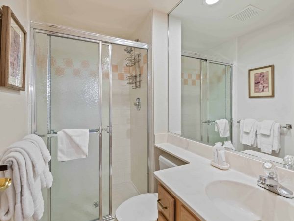 Beaver Creek Two Bedrooms Ski in / Ski out