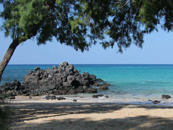 Waimea Vacation Rental with 3 Bedroom for groups up to 8
