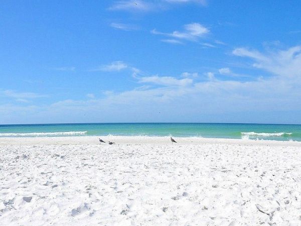 One Bedroom Siesta Key Vacation Rental