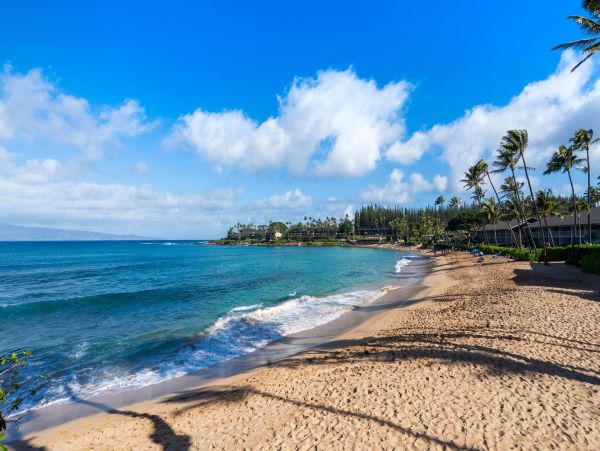 Cozy 1BD Condo Ocean Views from Napili Bay a Tropical Winter Retreat!
