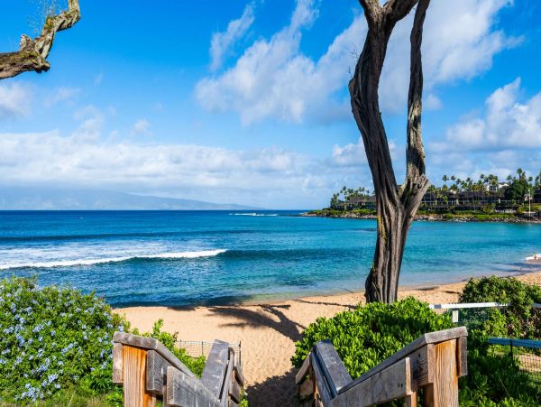 Cozy 1BD Condo Ocean Views from Napili Bay a Tropical Winter Retreat!