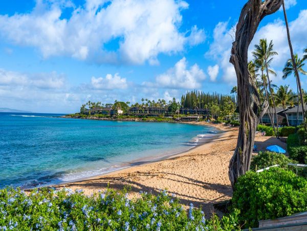 Cozy 1BD Condo Ocean Views from Napili Bay a Tropical Winter Retreat!