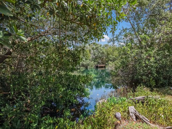 Anna Maria Island Beach House Rental 2-Bedroom Mid-Century Bungalow Near Pine Ave