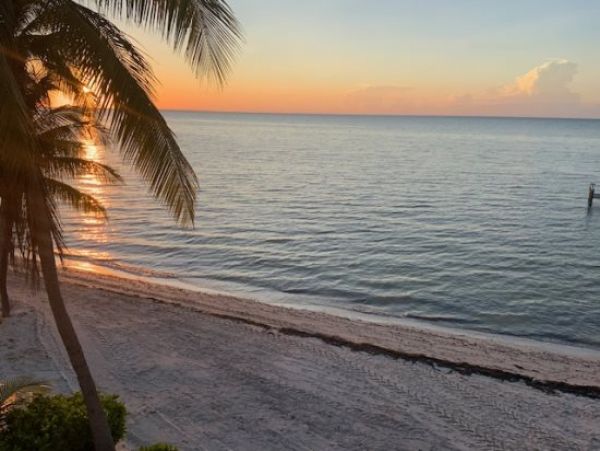 Modern 4 Bedroom Oceanfront Rental