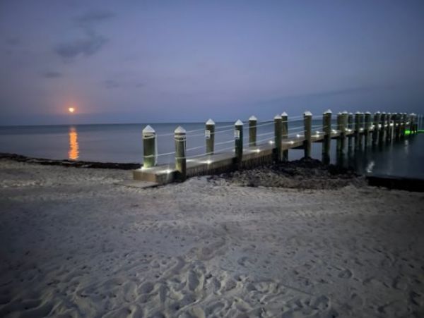 Modern 4 Bedroom Oceanfront Rental