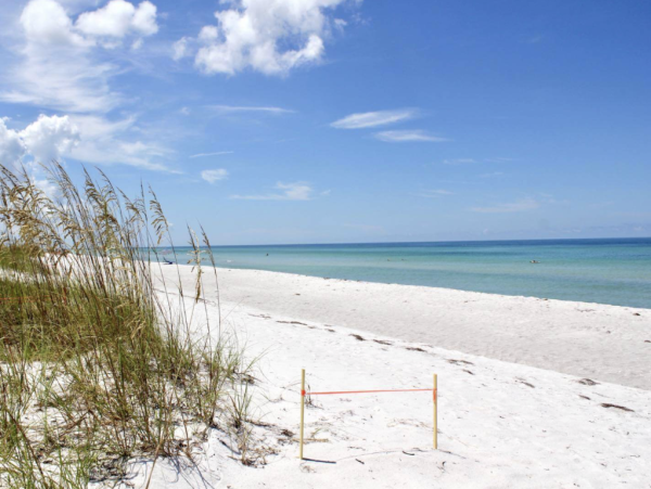 Lido Key Ten Bedroom Steps to  Beach Luxury Rental Walk to St. Armands Circle WOW!