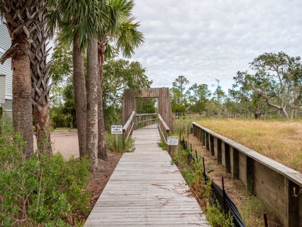 Magnificent Seven Bedroom Estate on the Idyllic Isle of Palms