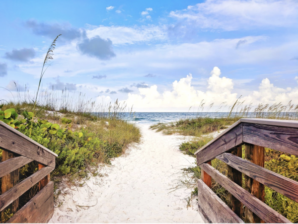 New Addition to the luxury Rental Market on Siesta Key.