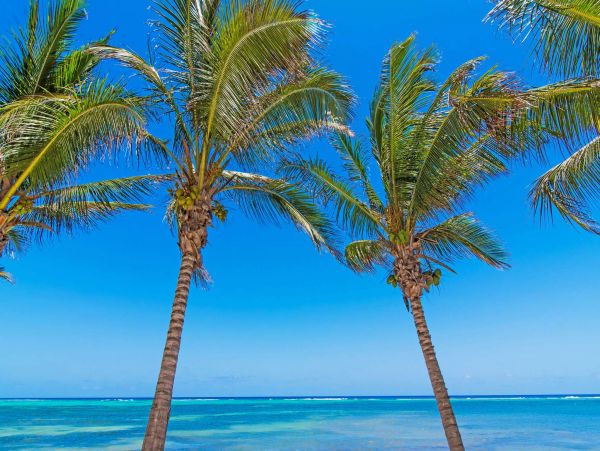 Piece of Paradise -Cayman Island Vacation Home Six Bedroom