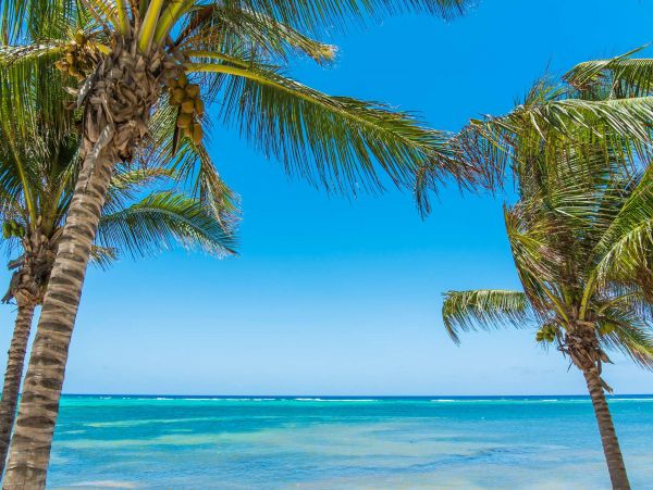 Piece of Paradise -Cayman Island Vacation Home Six Bedroom