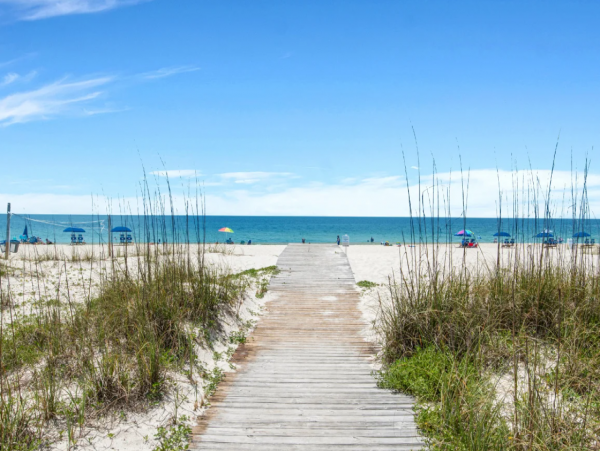Beachfront 8 Bedroom Vacation Rental in Gulf Shores