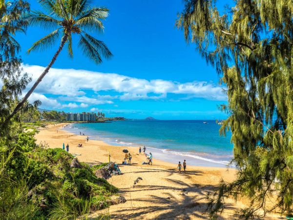Kihei Vacation Condo Two Bedroom