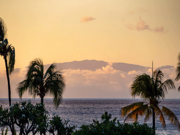 Oceanfront Luxurious 4 Bedroom Villa Amazing Amenities