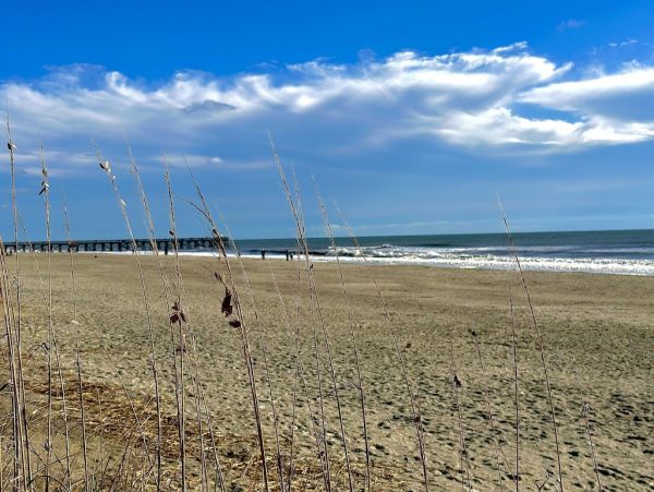 Isle of Palms Vacation Home