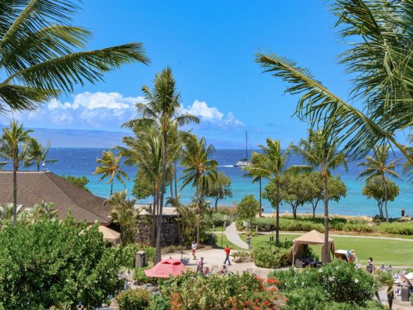 Oceanfront Elegance: 9 Bedroom Vacation Rental