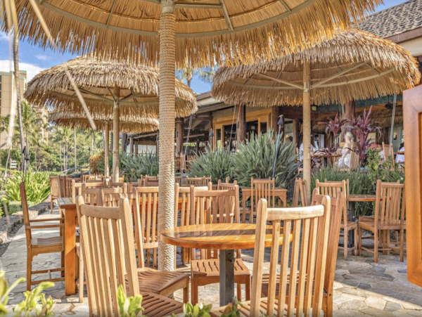 Oceanfront Elegance: 9 Bedroom Vacation Rental