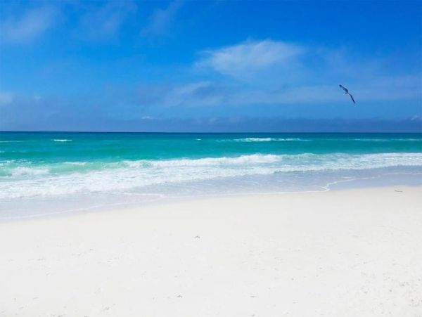 On Beach Vacation Condo Two Bedroom in Panama City