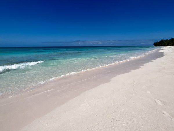 Beachfront Six-Bedroom Estate With Pool in Palmetto Point