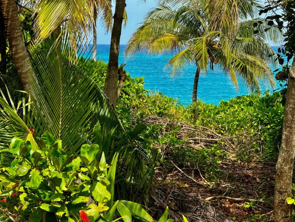 Beachfront Six-Bedroom Estate With Pool in Palmetto Point