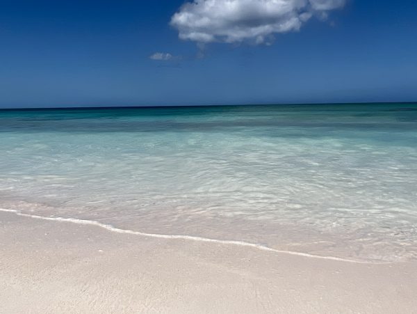 Beachfront Six-Bedroom Estate With Pool in Palmetto Point
