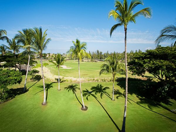 Kohala Coast Four Bedroom Stunning Vacation Villa