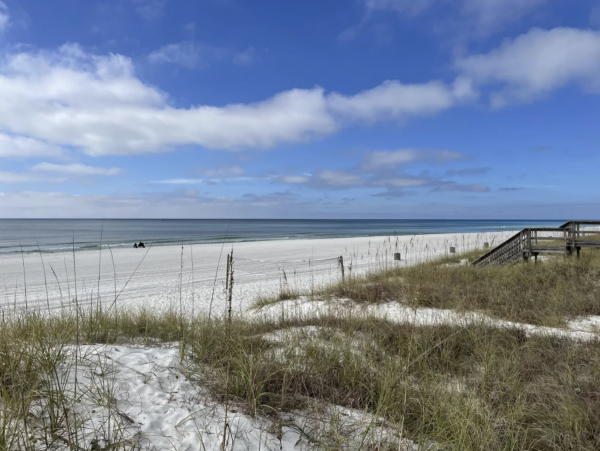Pet-Friendly 7BD Gulf Front Home with Private Plunge Pool