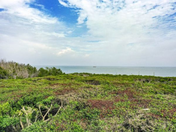 Walk to Beach Captiva Vacation Condo One Bedroom