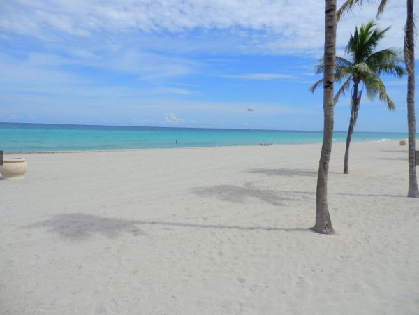 1BRM/1BATH Vacation Condo with Shared Pool in Hollywood Beach