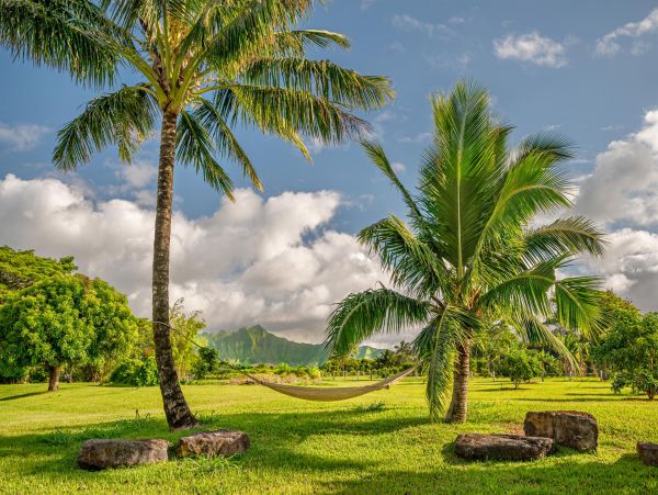 Kilauea Vacation Rental with Stunning Views