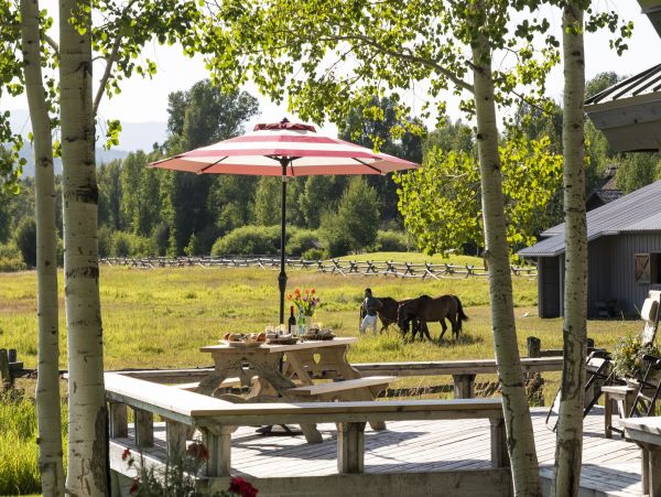 Jackson Hole Vacation Rental for Nature Lovers