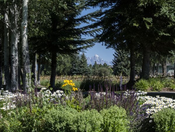 Jackson Hole Vacation Rental for Nature Lovers