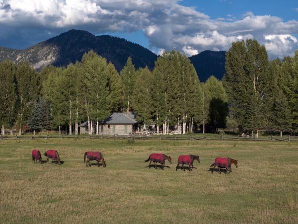 Jackson Hole Vacation Rental for Nature Lovers