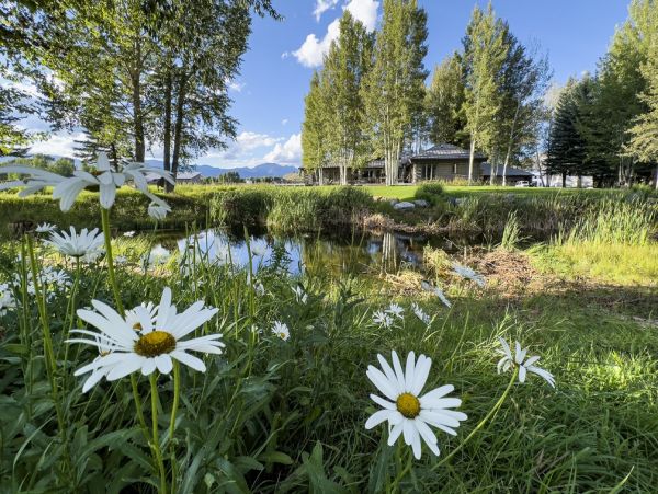 Jackson Hole Vacation Rental for Nature Lovers