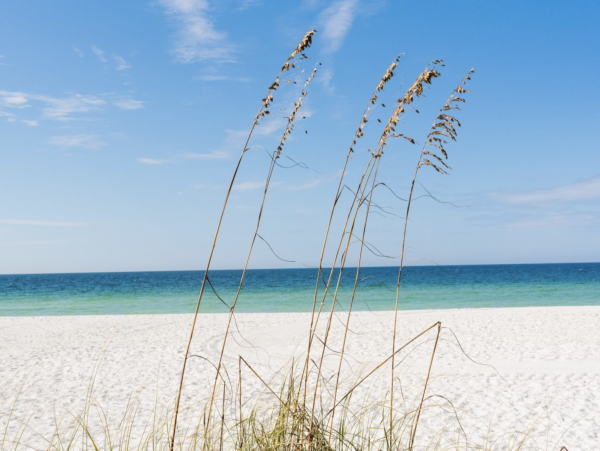 Island Beachfront Beauty on Anna Maria Island
