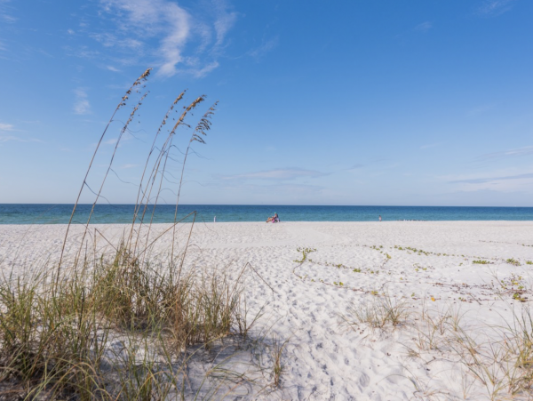 Island Beachfront Beauty on Anna Maria Island