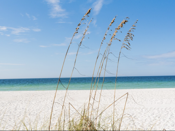 Island Beachfront Beauty on Anna Maria Island
