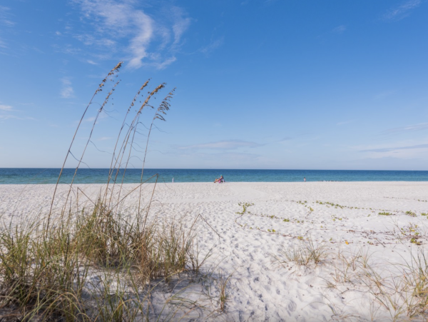 Island Beachfront Beauty on Anna Maria Island