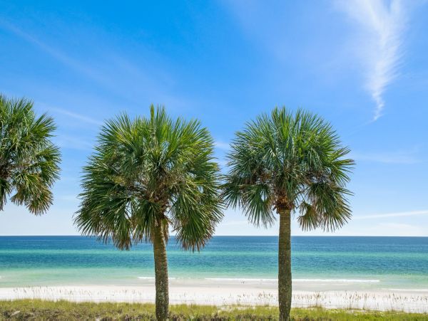 Your Dream Vacation Home in Miramar Beach Pool, Beachfront, Sleeps 24!