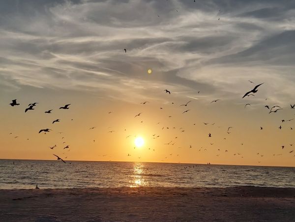 Madeira Beach Three Bedroom Condo Beach Front with Incredible Views