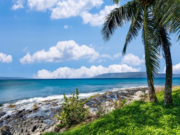 Oceanfront Kahana Vacation Condo One Bedroom