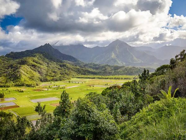 Princeville Luxury Vacation Home with Stunning Views