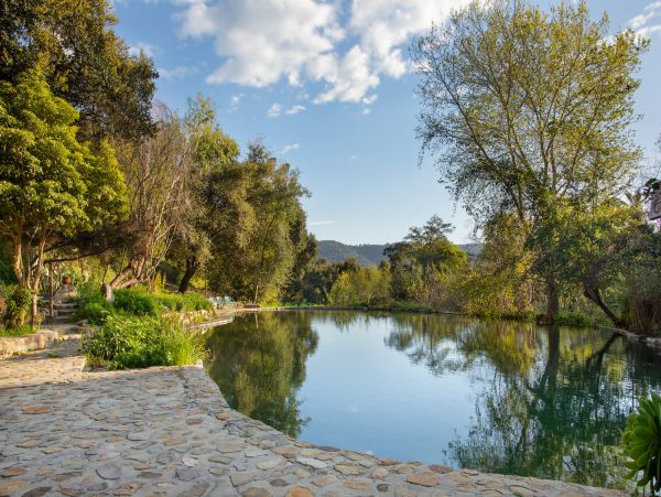 Historic Vacation Ranch with 4 Bedrooms