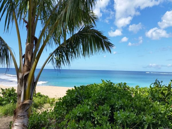 Two Bedroom Oceanfront Rental Condo in Kauai