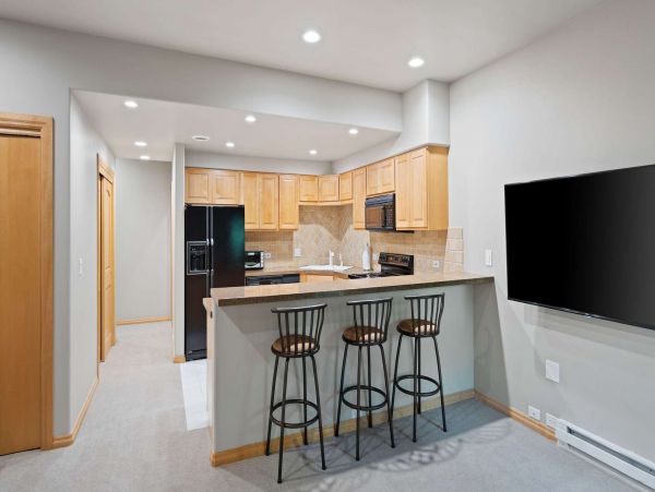 Seven Bedroom Mountain View Vail Vacation Rental