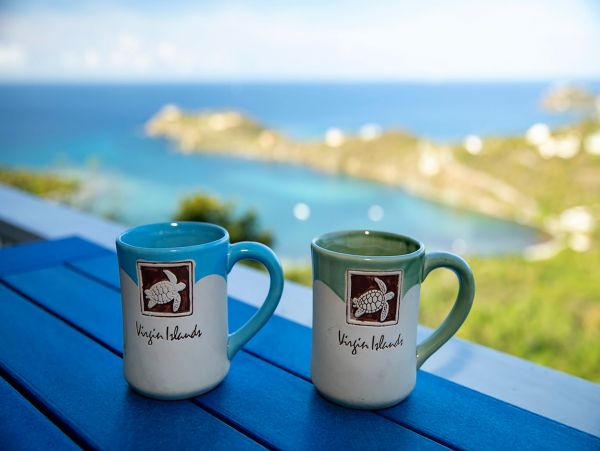 St. John Vacation Home Ocean Views