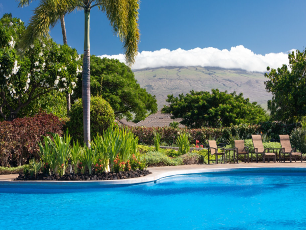 Wonderful New Single Level Three Bedroom Vacation Rental